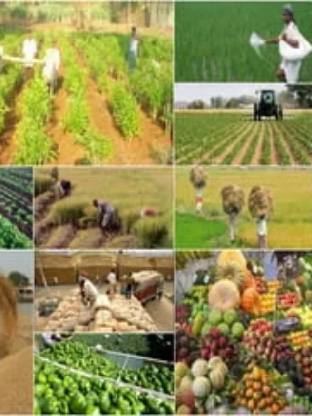 India में की जाने वाली Top 7 Most Profitable Farming!